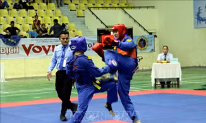 Đoàn TP Hồ Chí Minh dẫn đầu tại Giải Vô địch Vovinam toàn quốc