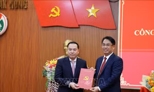 Điều động, chỉ định ông Hồ Xuân Trường làm Phó Bí thư Tỉnh ủy Đắk Nông, nhiệm kỳ 2020 - 2025