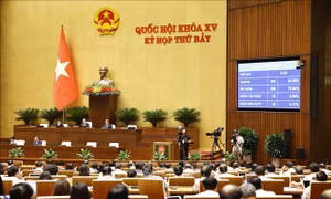 Thông cáo báo chí số 28, Kỳ họp thứ 7, Quốc hội khóa XV