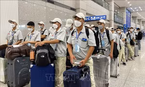 Sửa Luật đưa lao động đi làm việc ở nước ngoài: Cắt giảm thủ tục, tăng phân cấp và chuyển đổi số