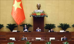 Quốc hội thảo luận về dự án Luật Ban hành văn bản quy phạm pháp luật (sửa đổi)