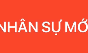 Phê chuẩn kết quả bầu, miễn nhiệm chức vụ Phó Chủ tịch UBND TP Hồ Chí Minh