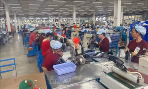 Công nhận kỹ năng: Cơ hội để lao động Việt vươn ra thị trường quốc tế