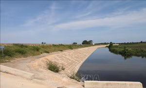 13 tỉnh, thành phố triển khai công tác đảm bảo an toàn đê điều ứng phó bão số 3 và mưa lũ