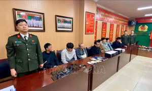 Kiểm tra, phát hiện nhiều người nước ngoài nhập cảnh với mục đích lừa đảo