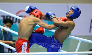 300 vận động viên tham dự Giải Vô địch Kickboxing các đội mạnh toàn quốc tại Bà Rịa - Vũng Tàu