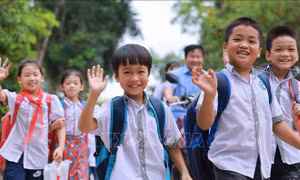 Trường học chịu ảnh hưởng ngập lụt của huyện Chương Mỹ đã sẵn sàng cho năm học mới