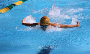 Khai mạc Giải Bơi và Lặn vô địch trẻ quốc gia năm 2024