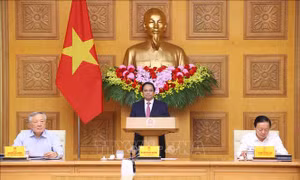 Phiên họp Ban Chỉ đạo của Chính phủ về tổng kết việc thực hiện Nghị quyết số 18