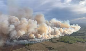 Thành phố Fort McMurray dỡ bỏ lệnh sơ tán do cháy rừng