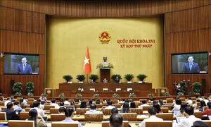 Quốc hội nghe tờ trình về 4 dự án luật