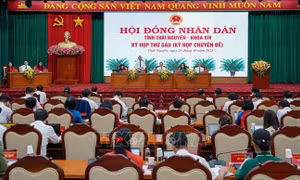 Cơ cấu, thành phần người được giới thiệu ứng cử đại biểu Hội đồng nhân dân