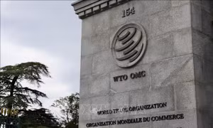 WTO: Cơ hội lớn để tham gia sâu hơn vào chuỗi giá trị toàn cầu