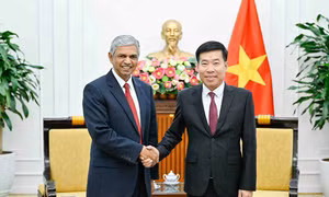 Tạo động lực đưa quan hệ Việt Nam - Ấn Độ phát triển mạnh mẽ hơn
