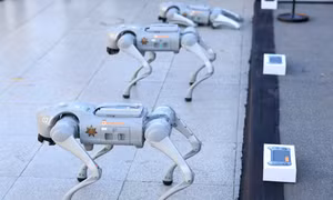 World Cup 2026: Triển khai ‘chó robot’ hỗ trợ an ninh