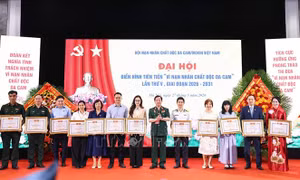 Lan tỏa mạnh mẽ tinh thần thi đua vì nạn nhân chất độc da cam