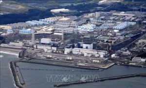 Nhật Bản ứng dụng AI trong tháo dỡ nhà máy điện hạt nhân Fukushima