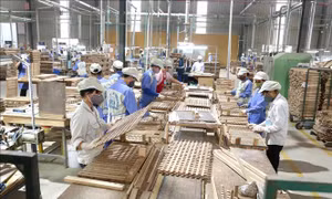Phát triển kinh tế tư nhân trở thành một động lực quan trọng của nền kinh tế