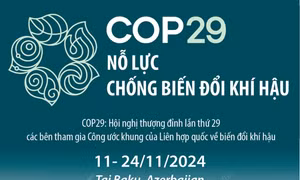 COP29 nỗ lực chống biến đổi khí hậu