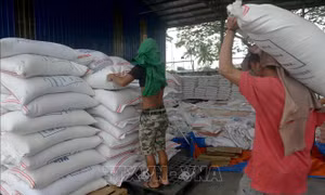 Philippines quay trở lại thị trường gạo quốc tế