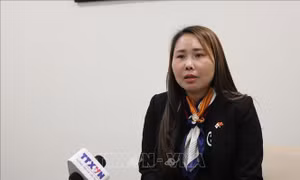 Người Việt Nam ở nước ngoài là cầu nối phát triển quan hệ hợp tác