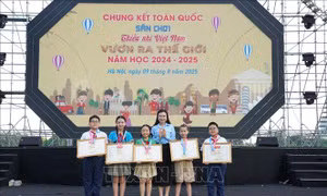 Trên 31.500 thiếu nhi tham gia sân chơi 'Thiếu nhi Việt Nam - Vươn ra thế giới'