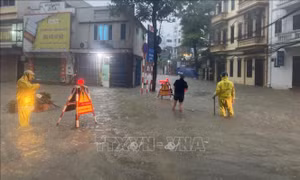 Hà Nội: Vận hành gần 100 trạm bơm tiêu chống úng ngập