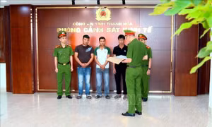 Khởi tố ba đối tượng mua bán lợn nhiễm dịch tả lợn châu Phi
