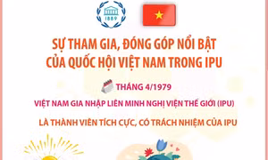 Sự tham gia, đóng góp nổi bật của Quốc hội Việt Nam trong IPU