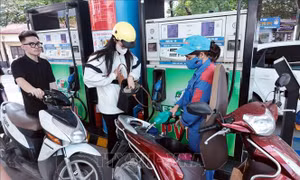Thí điểm một số chính sách trong triển khai lộ trình sử dụng xăng E10