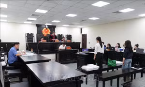 Phúc thẩm vụ cựu Hiệu trưởng THCS Ba Đình: Hai bị cáo có dấu hiệu 'lợi dụng chức vụ quyền hạn'