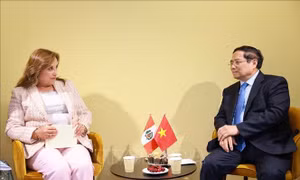 Thủ tướng Phạm Minh Chính hội kiến Tổng thống Peru Dina Boluarte