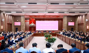 Thông qua chủ trương đầu tư dự án Khu đô thị thể thao Olympic