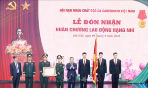 Hội Nạn nhân chất độc da cam/dioxin Việt Nam đón nhận Huân chương Lao động hạng Nhì