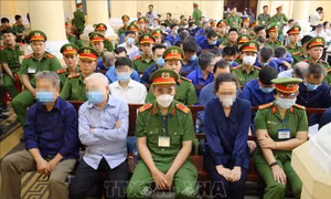 Vụ án Vạn Thịnh Phát: Nhiều bị cáo khẳng định làm việc theo chỉ đạo của bị cáo Trương Mỹ Lan
