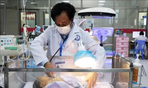 Dành hết tuổi xuân cho cuộc chiến chống sốt xuất huyết