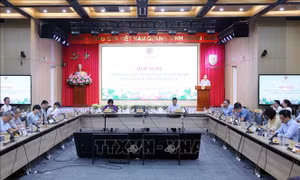 Hướng tới hệ thống pháp luật tinh gọn, hiệu quả
