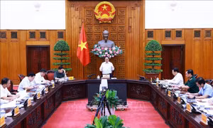 Thủ tướng Phạm Minh Chính: Hoàn thành đường dây 500 kV mạch 3 dịp kỷ niệm 79 năm Cách mạng tháng Tám và Quốc khánh 2/9