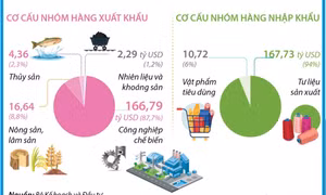 Trong 6 tháng, tổng kim ngạch xuất, nhập khẩu hàng hóa đạt 368,53 tỷ USD