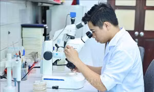 Chiến lược quốc gia về phát triển đội ngũ trí thức đến năm 2030, tầm nhìn đến năm 2045