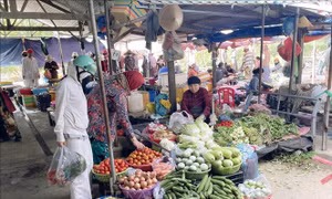 Giá rau củ tại Khánh Hòa đã dần hạ nhiệt