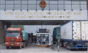 Những chính sách nổi bật có hiệu lực trong tháng 12/2024