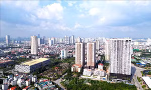 Đấu giá đất và những lo ngại về làn sóng 'giá ảo'