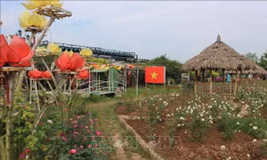 Chống lãng phí đất đai - Bài 2: Hậu quả lớn thất thu ngân sách