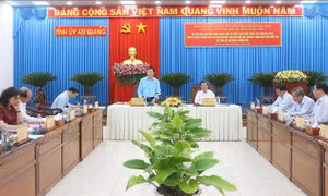 Phó Thủ tướng Mai Văn Chính: Đẩy nhanh tiến độ các công trình trọng điểm, tạo động lực cho An Giang, Đồng Tháp, Cà Mau 
