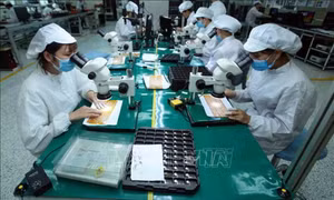 Hội nhập quốc tế, tạo động lực phát triển nội sinh