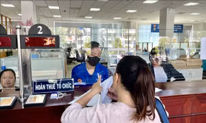 Điểm tin kinh tế Việt Nam nổi bật ngày 4/6/2026