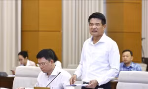 Thí điểm khởi kiện vụ án dân sự bảo vệ quyền của các nhóm dễ bị tổn thương