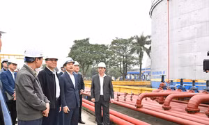Kiểm tra việc cung ứng xăng dầu dịp Tết Nguyên đán Bính Ngọ 2026