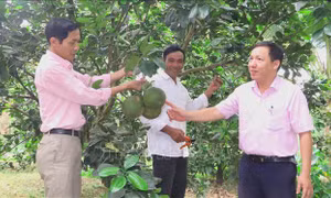 Huế giảm mạnh tỷ lệ hộ nghèo, hướng tới mục tiêu bền vững